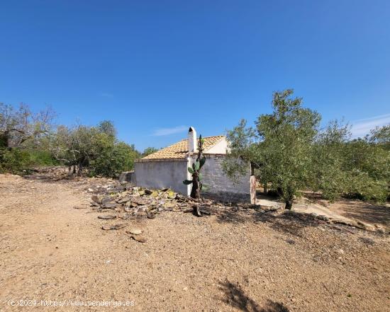  Finca Rústica con caseta de campo y pequeño almacén, a 3,5 km de la playa - TARRAGONA 