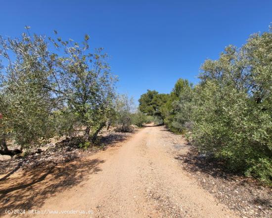 Finca Rústica con caseta de campo y pequeño almacén, a 3,5 km de la playa - TARRAGONA