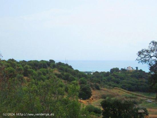 Solar edificable en Pineda de Mar - BARCELONA