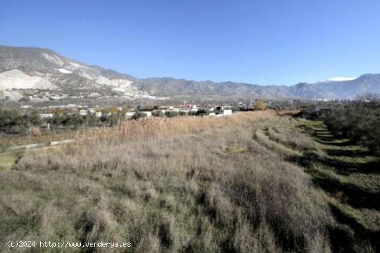 Finca de Regadío - GRANADA