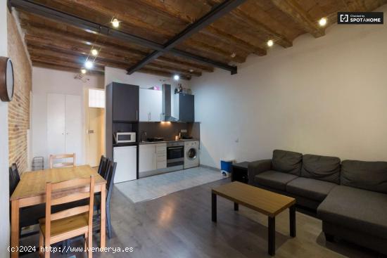 Moderno apartamento de 1 dormitorio en alquiler, El Raval, Barcelona - BARCELONA