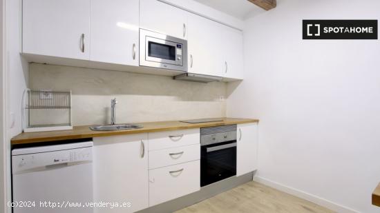 Apartamento de 2 dormitorios en alquiler en El Born - BARCELONA