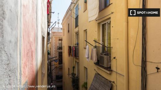 Apartamento de 2 dormitorios en alquiler en El Barri Gotic, Barcelona - BARCELONA