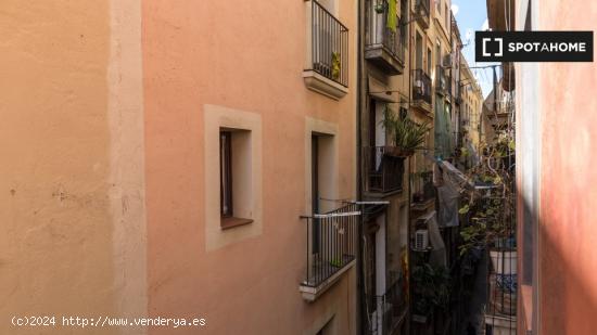 Apartamento de 2 dormitorios en alquiler en El Barri Gotic, Barcelona - BARCELONA