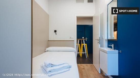 Se alquila habitación cerca de Campus Reina Mercedes, Sevilla - SEVILLA