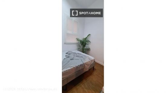 Se alquila habitación en apartamento de 3 dormitorios en Barcelona - BARCELONA