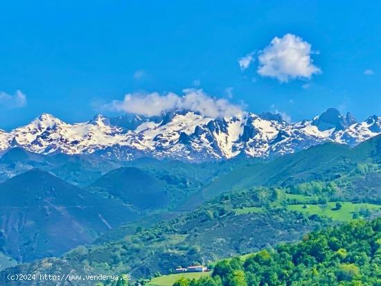 Venta de dos parcelas urbana y rústica con las mejores vistas a Picos de Europa - ASTURIAS