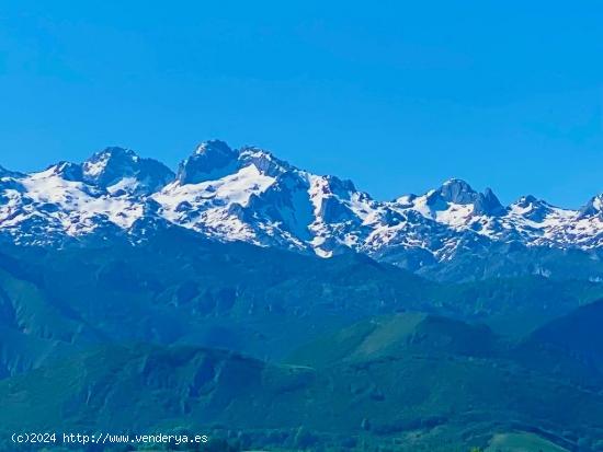 Venta de dos parcelas urbana y rústica con las mejores vistas a Picos de Europa - ASTURIAS