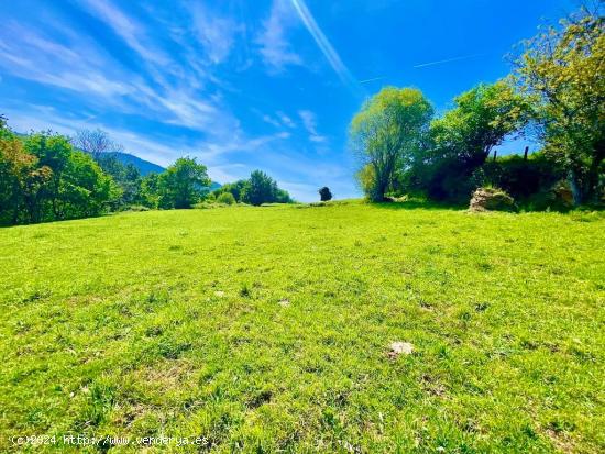 Venta de dos parcelas urbana y rústica con las mejores vistas a Picos de Europa - ASTURIAS