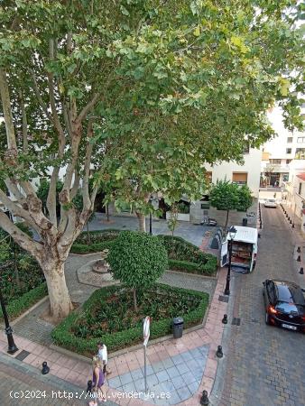 VENTA PISO RICARDO SORIANO - MALAGA