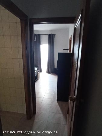 VENTA PISO RICARDO SORIANO - MALAGA