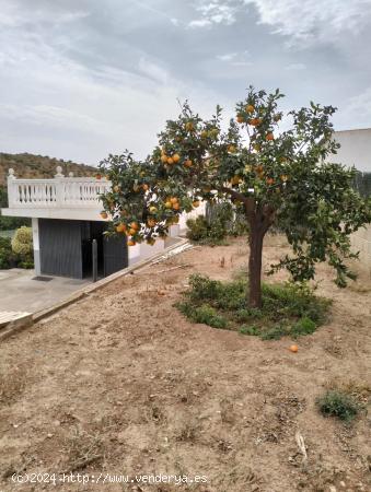 CHALET RUSTICO EN PARCELA URBANA EN PUERTO DE LA TORRE - MALAGA