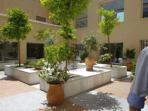 SE ALQUILA PRECIOSO APARTAMENTO, EN ZONA DE PLAZA DE TOROS - GRANADA