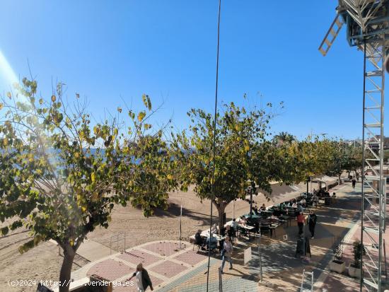 PRIMERA LÍNEA EN EL CENTRO VISTAS FRONTALES AL MAR - MURCIA