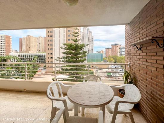 Apartamento en venta en Benidorm a 600 metros de la playa de Levante - ALICANTE