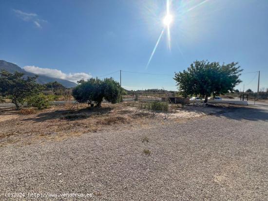 Impresionante finca de 60.000 m² con increíbles posibilidades para desarrollo en entorno tranquilo