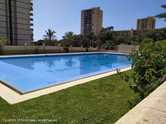  Apartamento en Alquiler en Centro - Aguadulce 