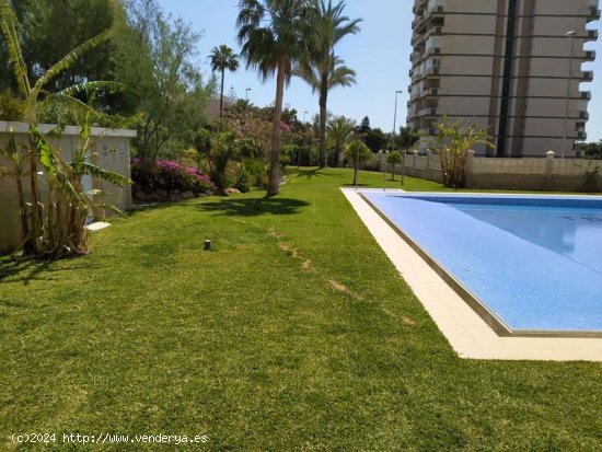 Apartamento en Alquiler en Centro - Aguadulce