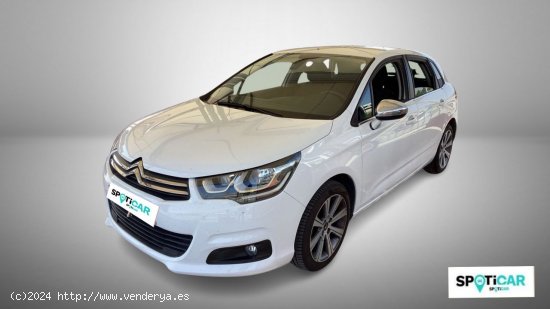 Citroën C4  PureTech 110 Feel Edition - Quintanar De La Orden