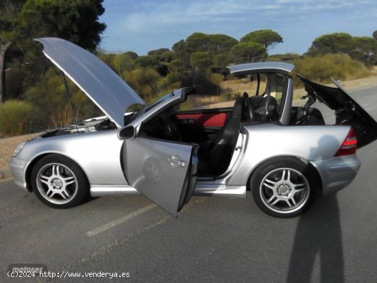 Mercedes Clase SLK 32 AMG de 1998 con 175.000 Km por 18.500 EUR. en Sevilla