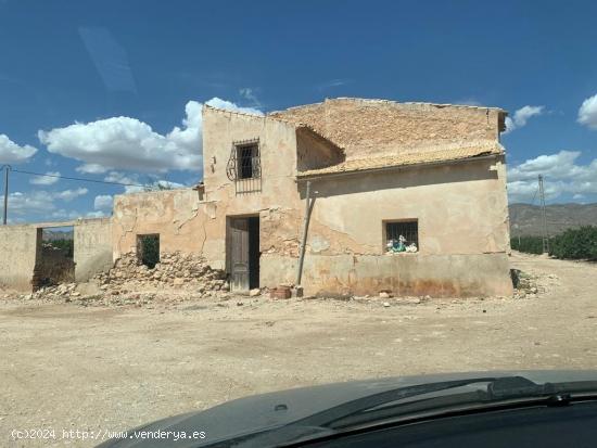 Finca Rustica con produccion de naranjos - ALICANTE