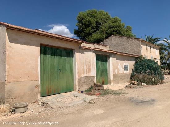 Finca Rustica con produccion de naranjos - ALICANTE