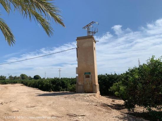 Finca Rustica con produccion de naranjos - ALICANTE