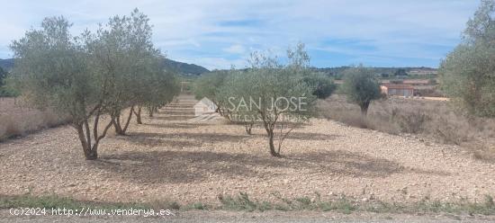 SE VENDE PARCELA RUSTICA EN HONDON DE LOS FRAILES CERCA DEL POLIDEPORTIVO - ALICANTE