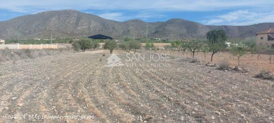 SE VENDE PARCELA RUSTICA EN HONDON DE LOS FRAILES CERCA DEL POLIDEPORTIVO - ALICANTE