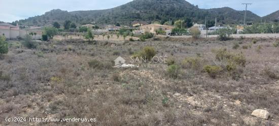 SE VENDE PARCELA RUSTICA EN HONDON DE LOS FRAILES ZONA DE MONTEALTO - ALICANTE