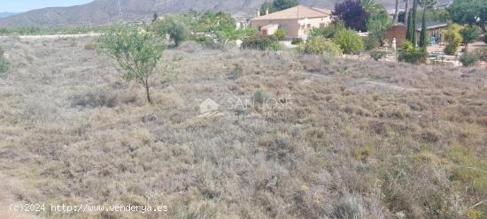 SE VENDE PARCELA RUSTICA EN HONDON DE LOS FRAILES ZONA DE MONTEALTO - ALICANTE