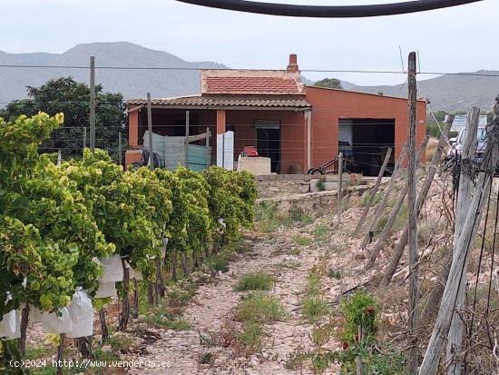  Casa de campo con terreno en Novelda - ALICANTE 