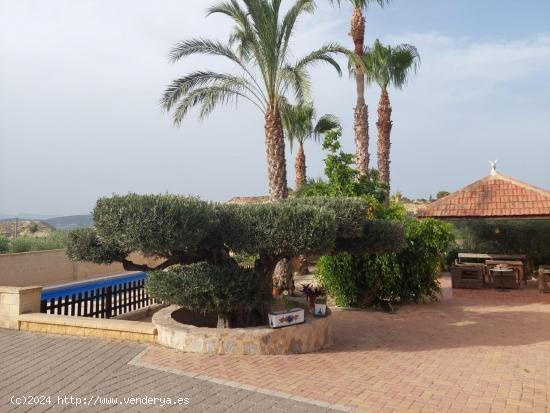 Casa de campo en Cañadas de San Pedro - Venta de Los Pinos - MURCIA