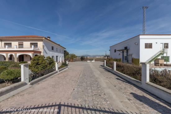 ¡¡ESTUPENDA FINCA RUSTICA PARA EXPLOTACION INDUSTRIAL CON GRAN CASA!! - GRANADA