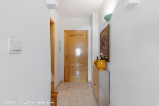 Apartamento en Calle La Loma - ALICANTE