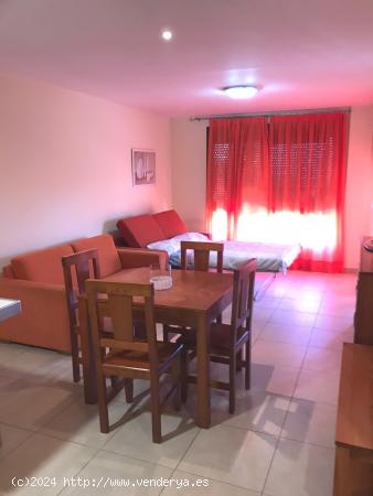 Palmar Mocan.  Piso 1 habitación apto para uso vacacional. - SANTA CRUZ DE TENERIFE