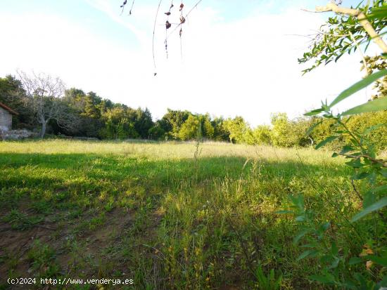 Terreno urbano y llano de 1.275 m2 - CANTABRIA