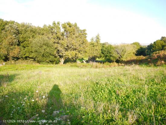 Terreno Urbano de 1.425 m2 en el casco historico de Isla - CANTABRIA