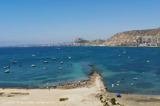 SE ALQUILA PISO EN SAN JUAN - ALICANTE