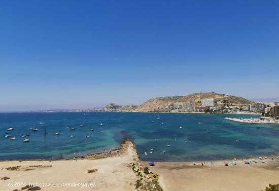 SE ALQUILA PISO EN SAN JUAN - ALICANTE