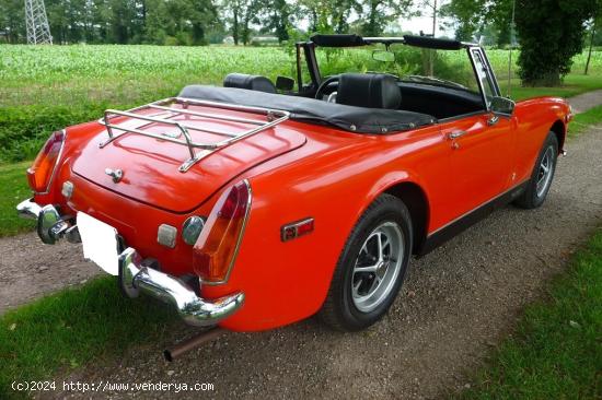 MG - Midget