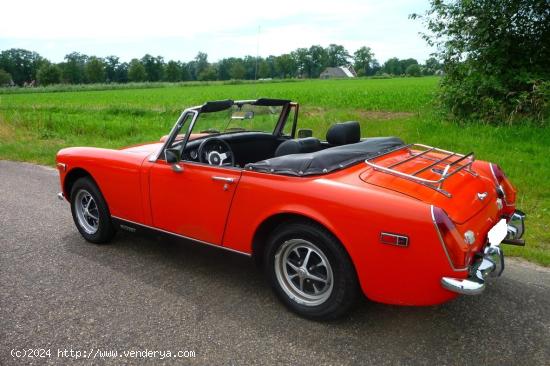 MG - Midget