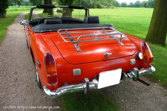 MG - Midget