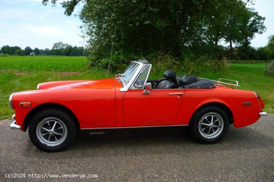 MG - Midget