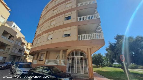 OPORTUNIDAD EN LA MATA CON PISCINA COMUNITARIA - ALICANTE