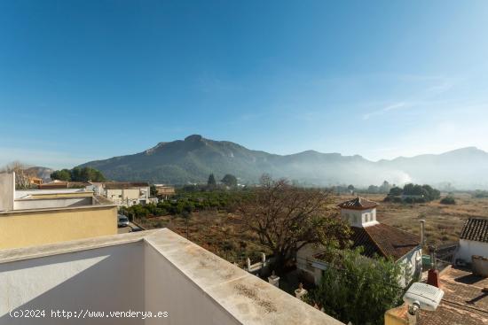 ¿Sueñas con vivir rodeado de tranquilidad y naturaleza? - VALENCIA