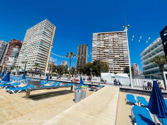 1ª LINEA DE PLAYA DE LEVANTE REFORMA A ESTRENAR - ALICANTE