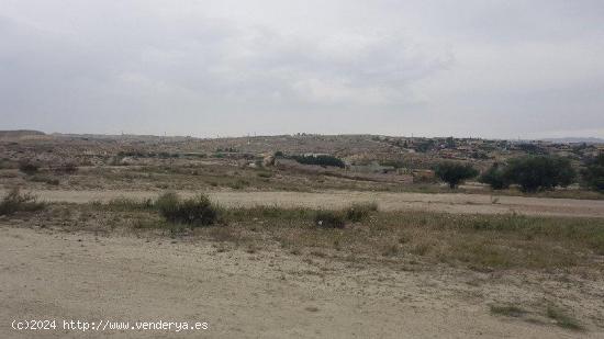 Suelo urbanizable sectorizado en Molina de Segura. - MURCIA