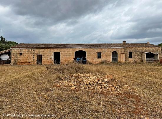 ¡ SE VENDE FINCA RUSTICA EN PORRERES ! - BALEARES