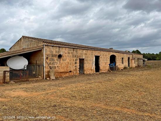 ¡ SE VENDE FINCA RUSTICA EN PORRERES ! - BALEARES